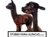 stubbsfarmalpacas