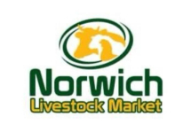 Norwich Livestock Market