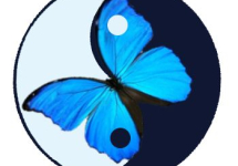 Blue Morpho Edinburgh