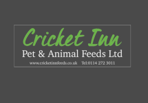 cricketinnfeeds