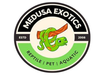 Medusa Exotics
