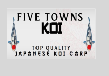 Five Towns Koi Ltd