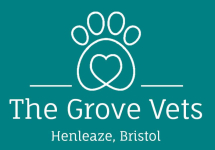 thegrovevet